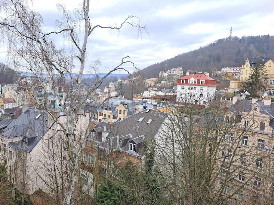 Vila Historica Karlsbad Exteriör bild